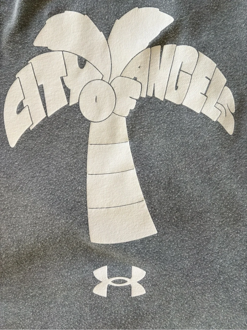 Under Armour Mens medium hoodie - city of Angeles